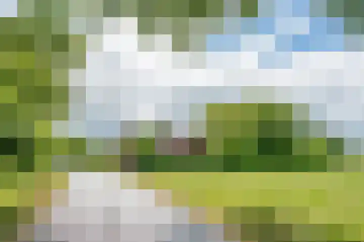 Deldensebroekweg 11 Vorden thumbnail 5