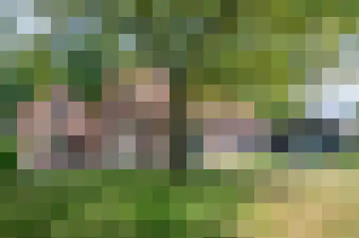 Deldensebroekweg 11 Vorden thumbnail 58