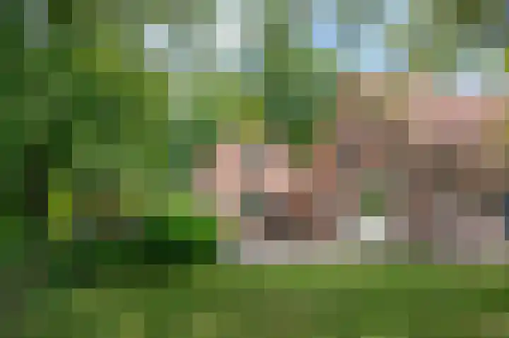 Deldensebroekweg 11 Vorden thumbnail 59