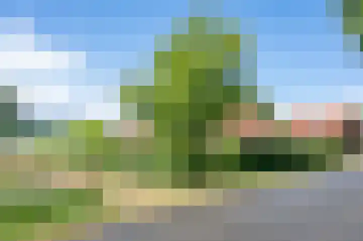 Deldensebroekweg 11 Vorden thumbnail 6