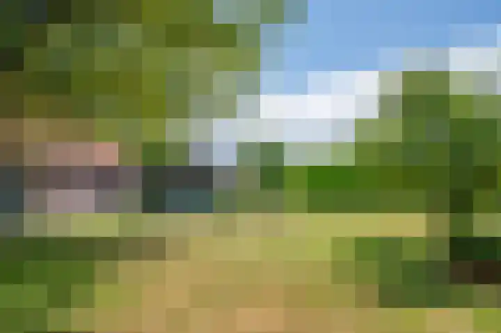 Deldensebroekweg 11 Vorden thumbnail 60