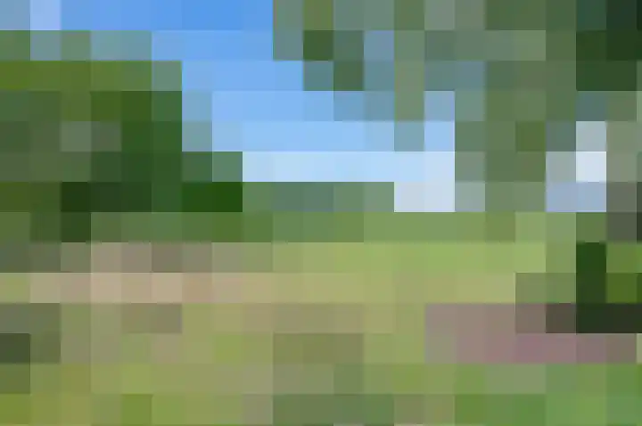 Deldensebroekweg 11 Vorden thumbnail 66