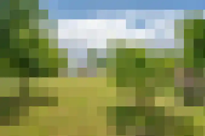 Deldensebroekweg 11 Vorden thumbnail 68