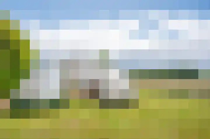 Deldensebroekweg 11 Vorden thumbnail 69