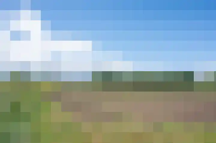 Deldensebroekweg 11 Vorden thumbnail 70