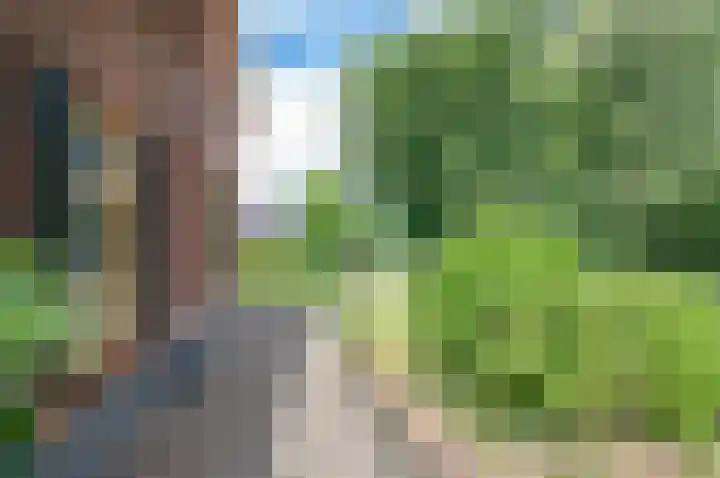 Deldensebroekweg 11 Vorden thumbnail 8