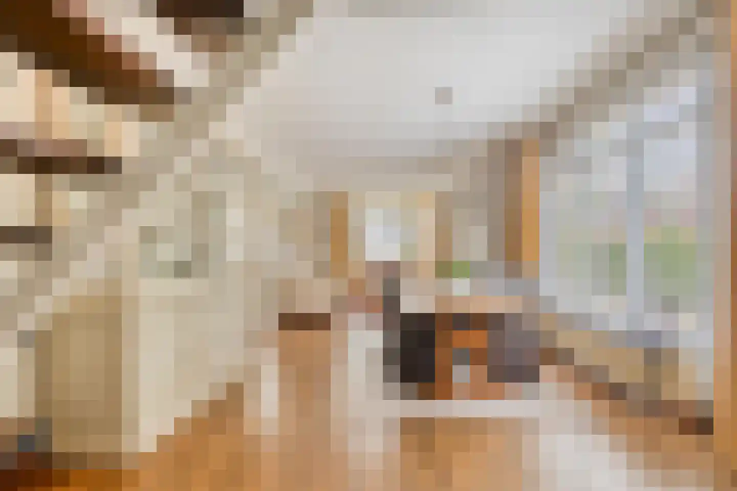 Deldensestraat 1 Goor thumbnail 11