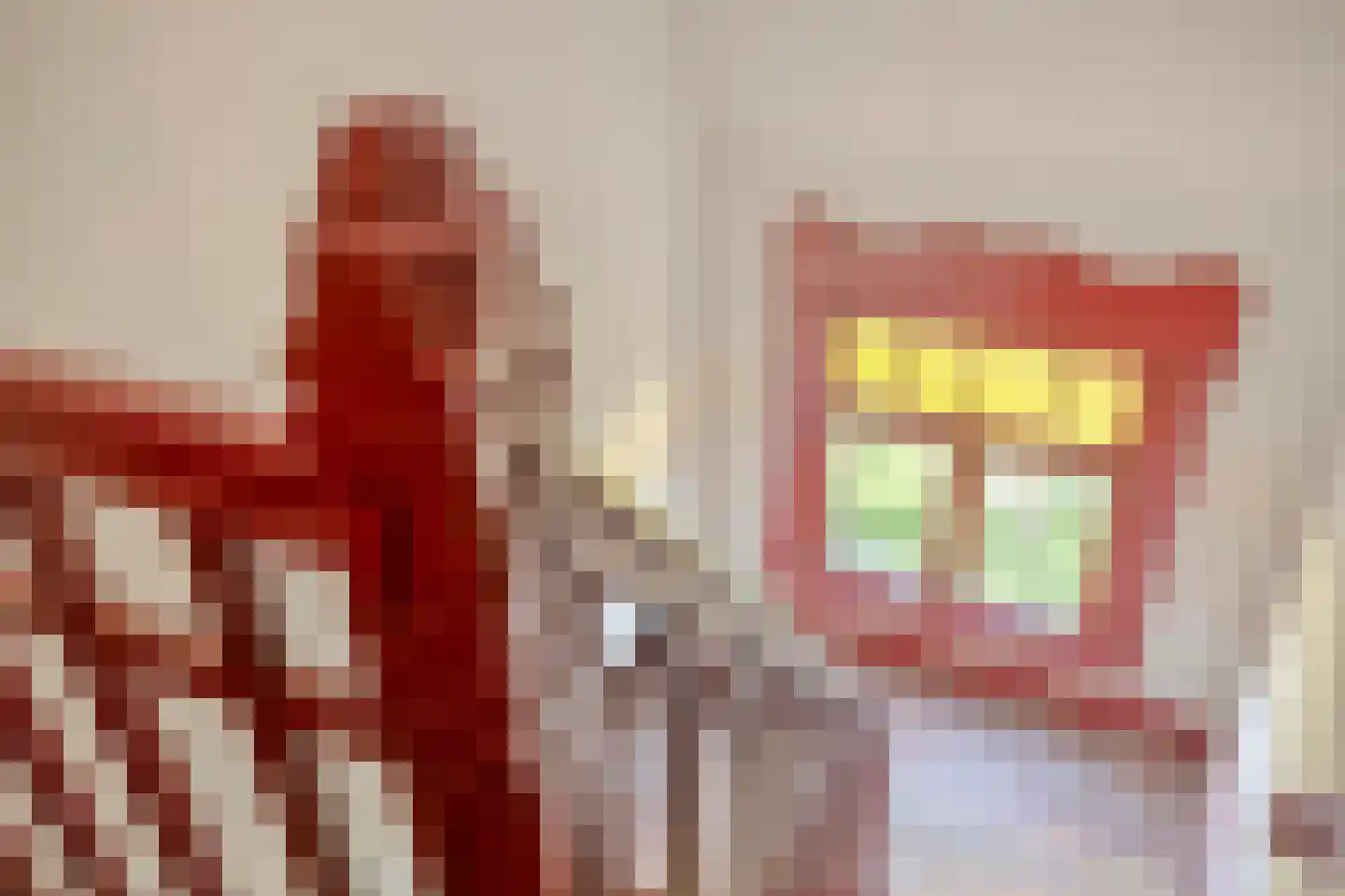 Deldensestraat 1 Goor thumbnail 33