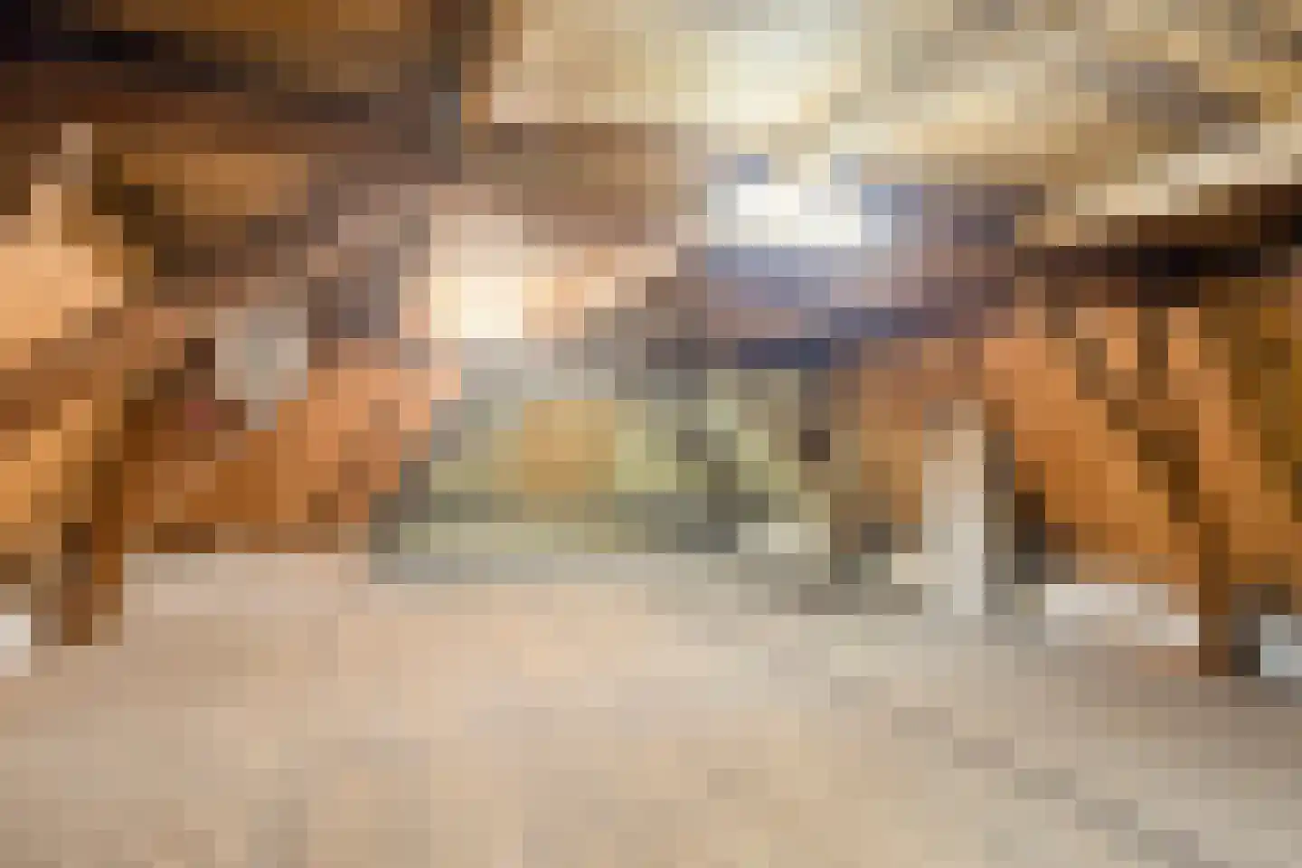 Deldensestraat 1 Goor thumbnail 34
