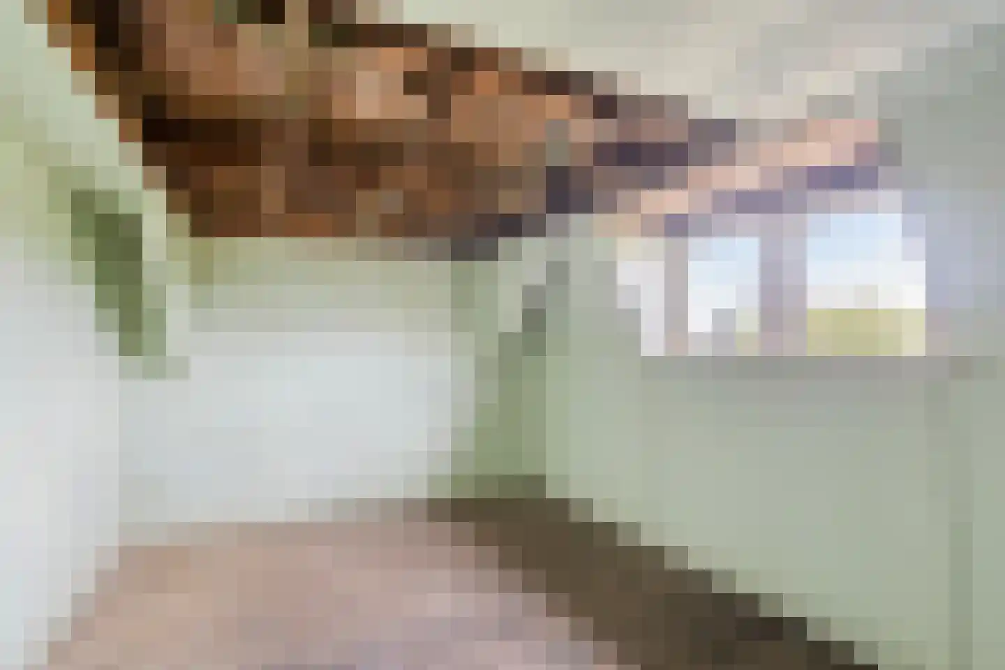 Deldensestraat 1 Goor thumbnail 36