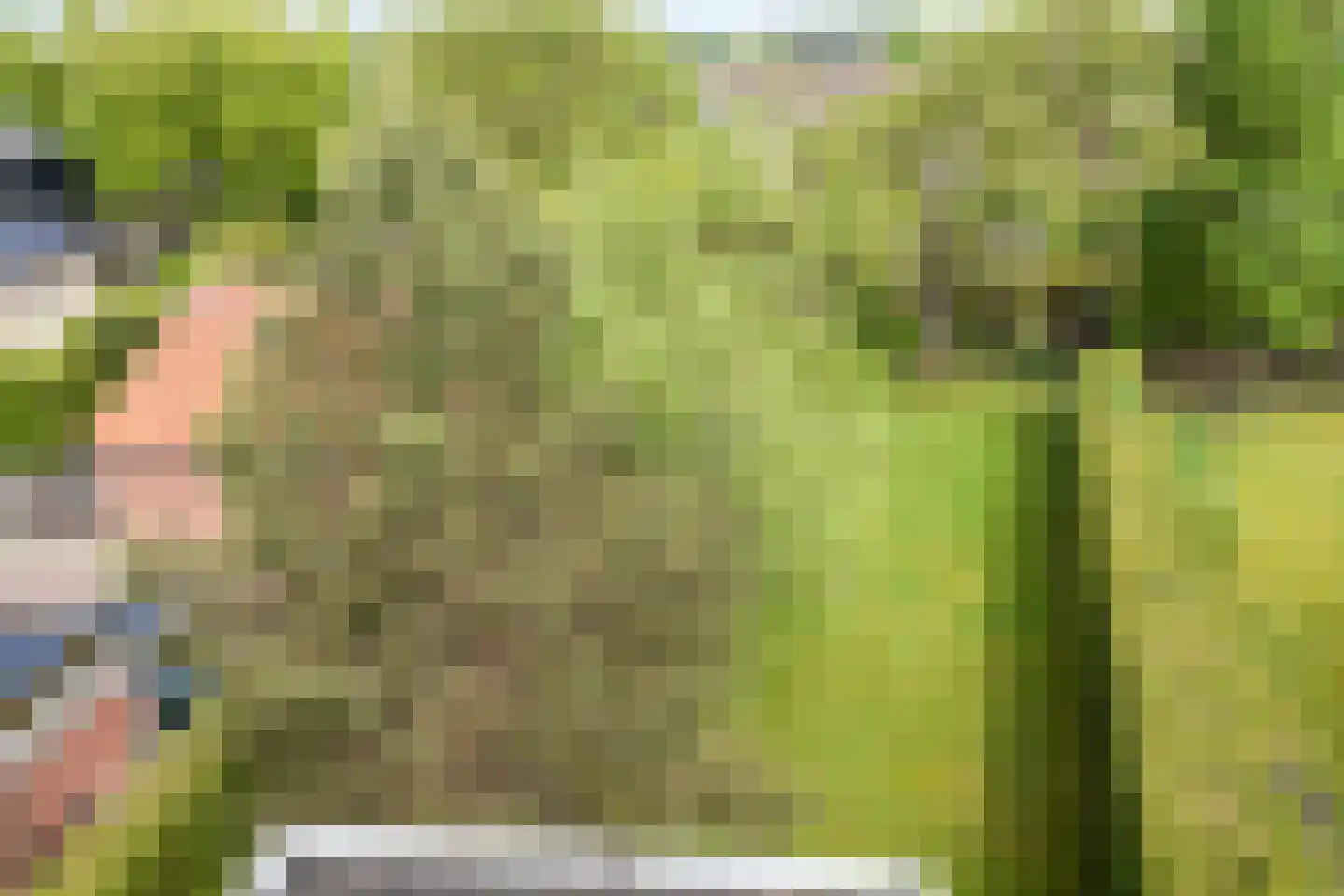 Deldensestraat 1 Goor thumbnail 37