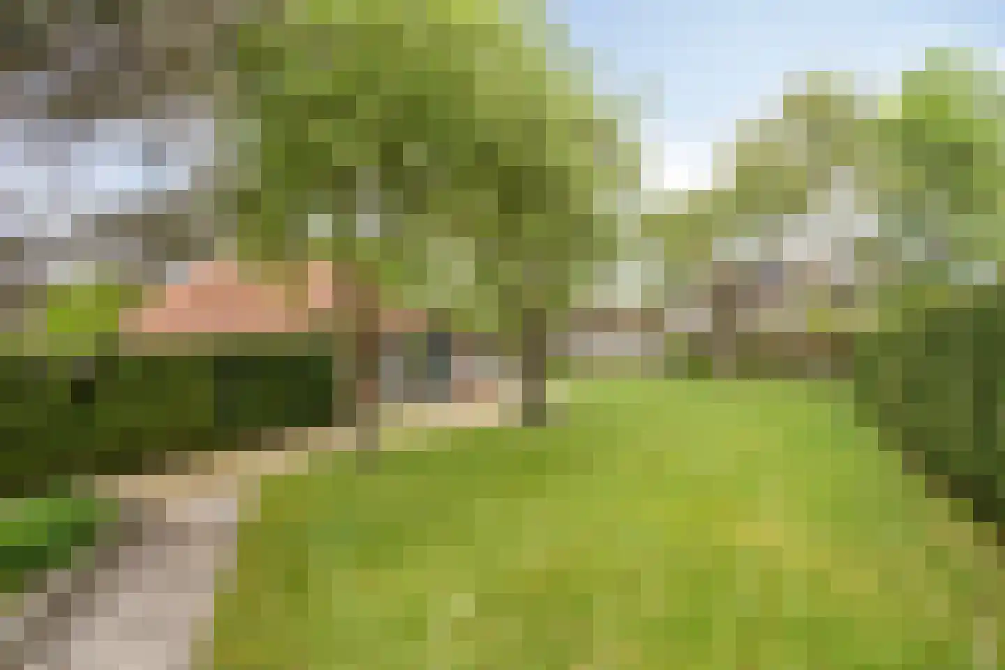 Deldensestraat 1 Goor thumbnail 38