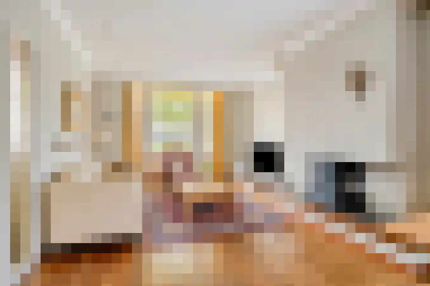 Deldensestraat 1 Goor thumbnail 6