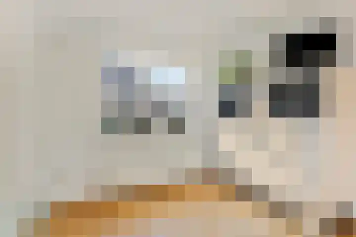 Deldensestraat 100 Borne thumbnail 23