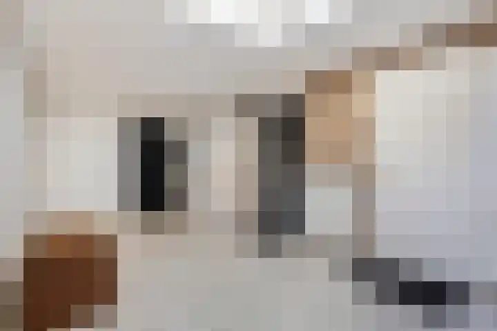 Deldensestraat 100 Borne thumbnail 26