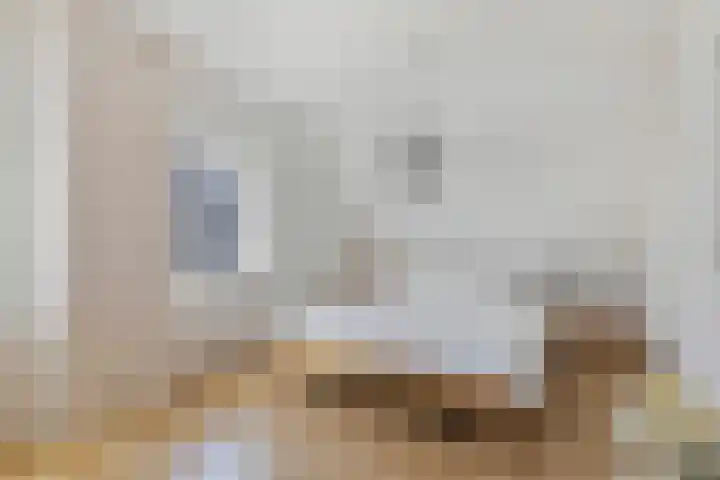 Deldensestraat 100 Borne thumbnail 28