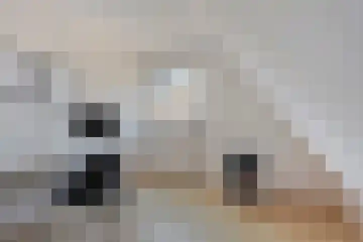 Deldensestraat 100 Borne thumbnail 31