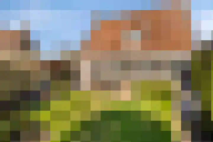 Deldensestraat 100 Borne thumbnail 34