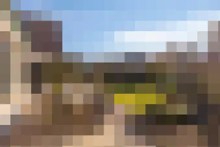 Deldensestraat 100 Borne thumbnail 36