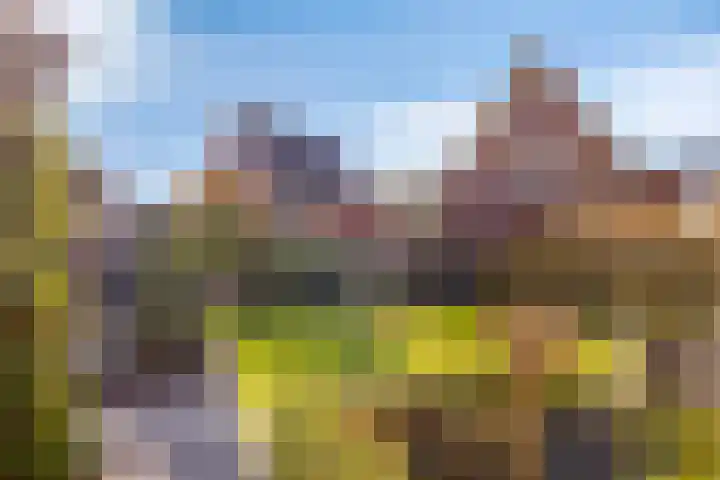 Deldensestraat 100 Borne thumbnail 37