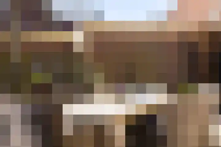 Deldensestraat 100 Borne thumbnail 38