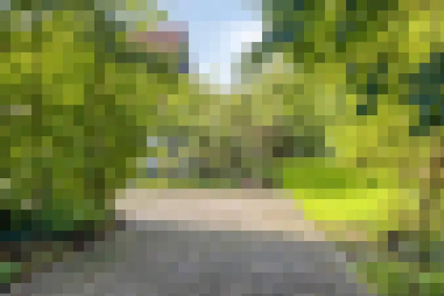 Deldensestraat 12 Diepenheim thumbnail 103