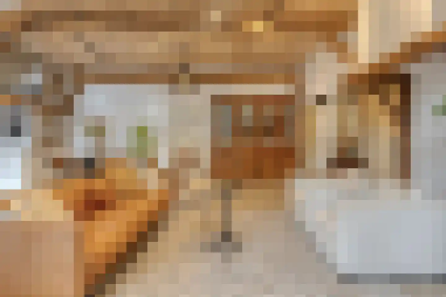 Deldensestraat 12 Diepenheim thumbnail 12
