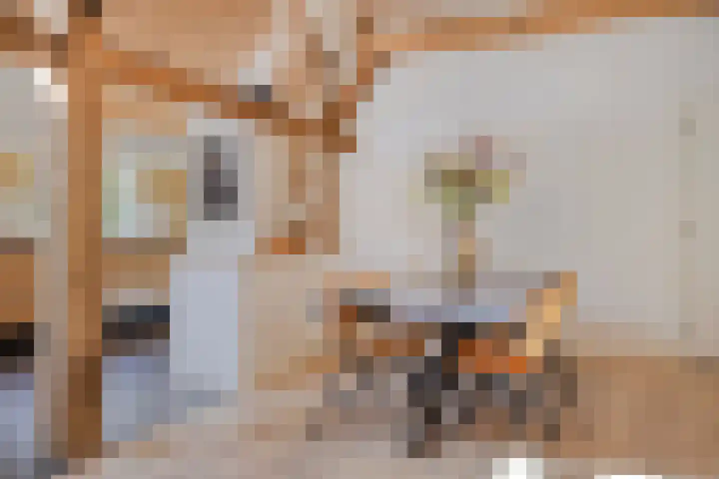 Deldensestraat 12 Diepenheim thumbnail 13