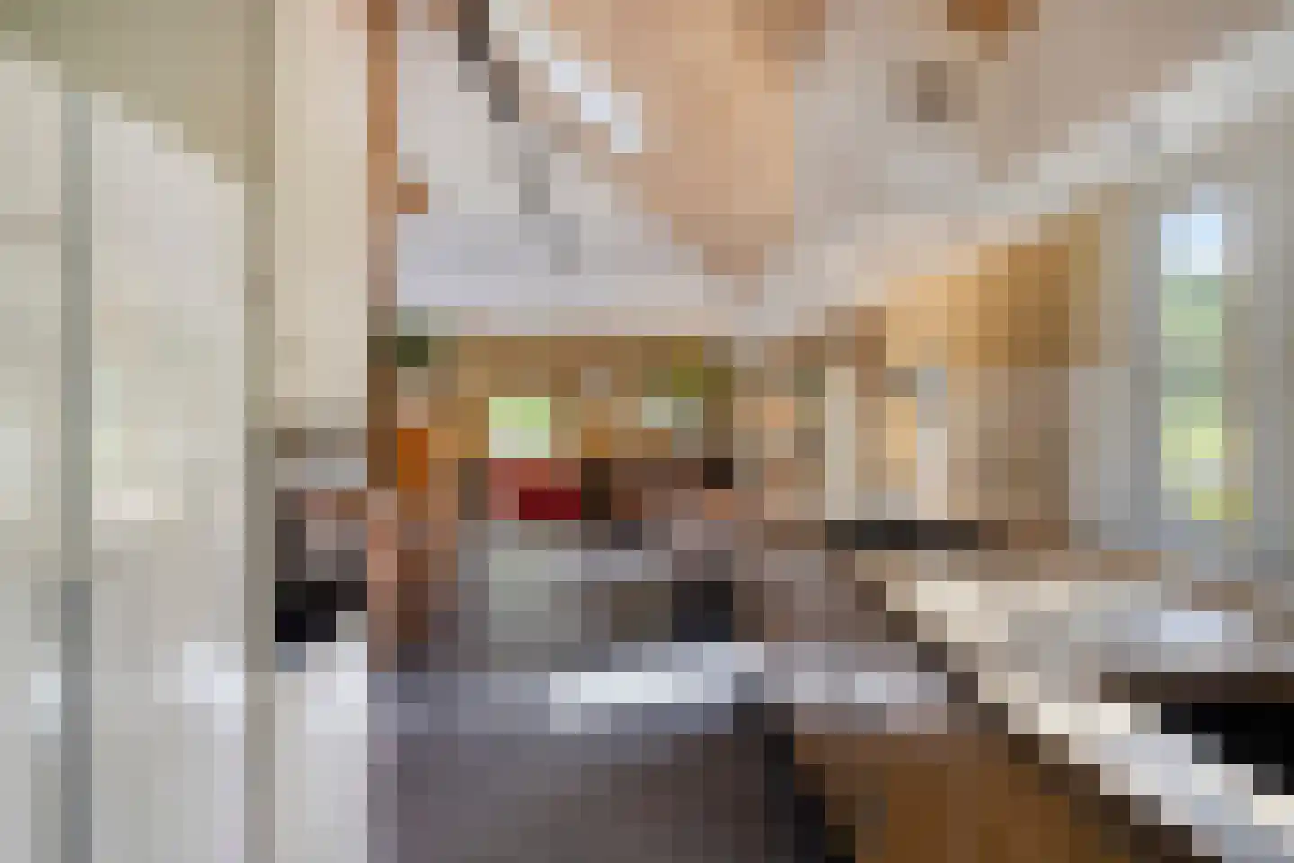 Deldensestraat 12 Diepenheim thumbnail 17