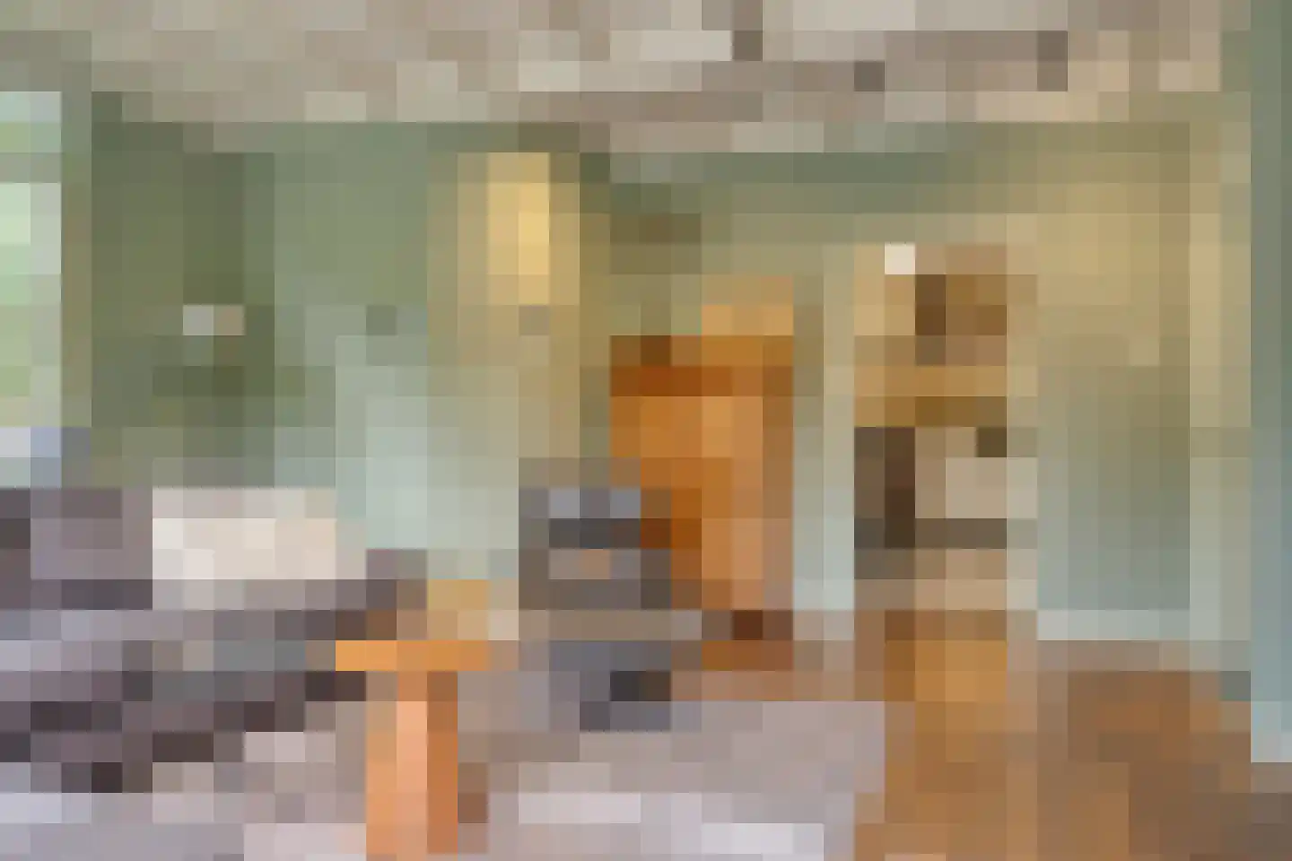 Deldensestraat 12 Diepenheim thumbnail 34