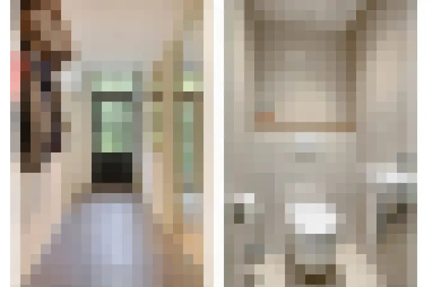 Deldensestraat 12 Diepenheim thumbnail 56