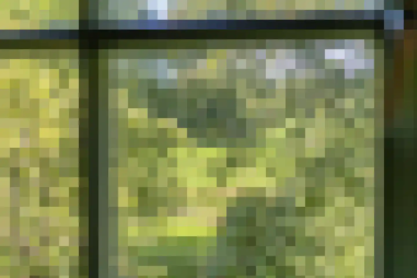 Deldensestraat 12 Diepenheim thumbnail 61