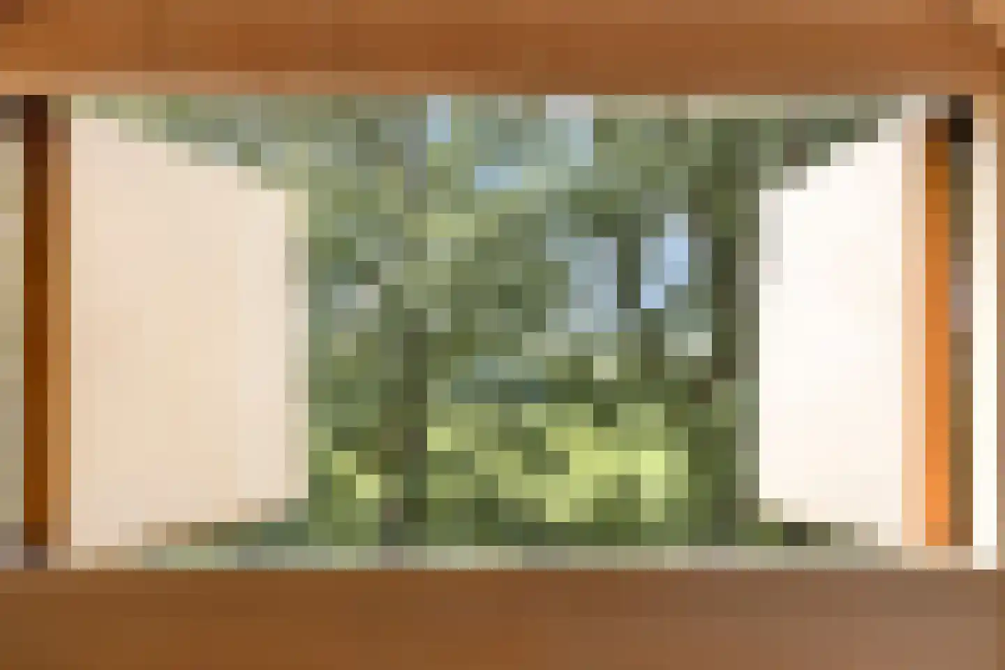 Deldensestraat 12 Diepenheim thumbnail 91
