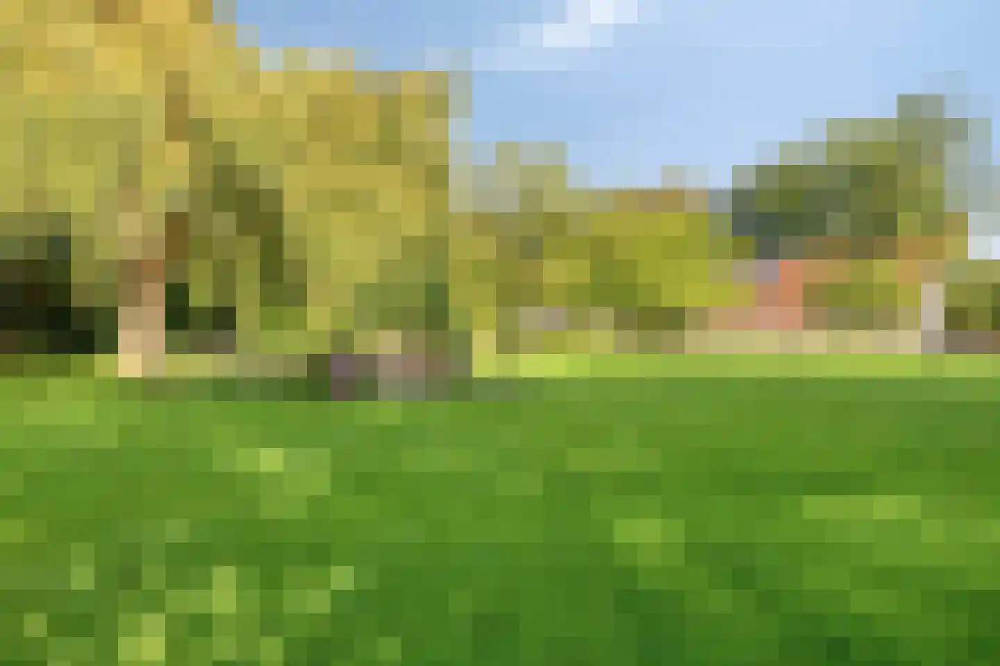 Deldensestraat 12 Diepenheim thumbnail 94