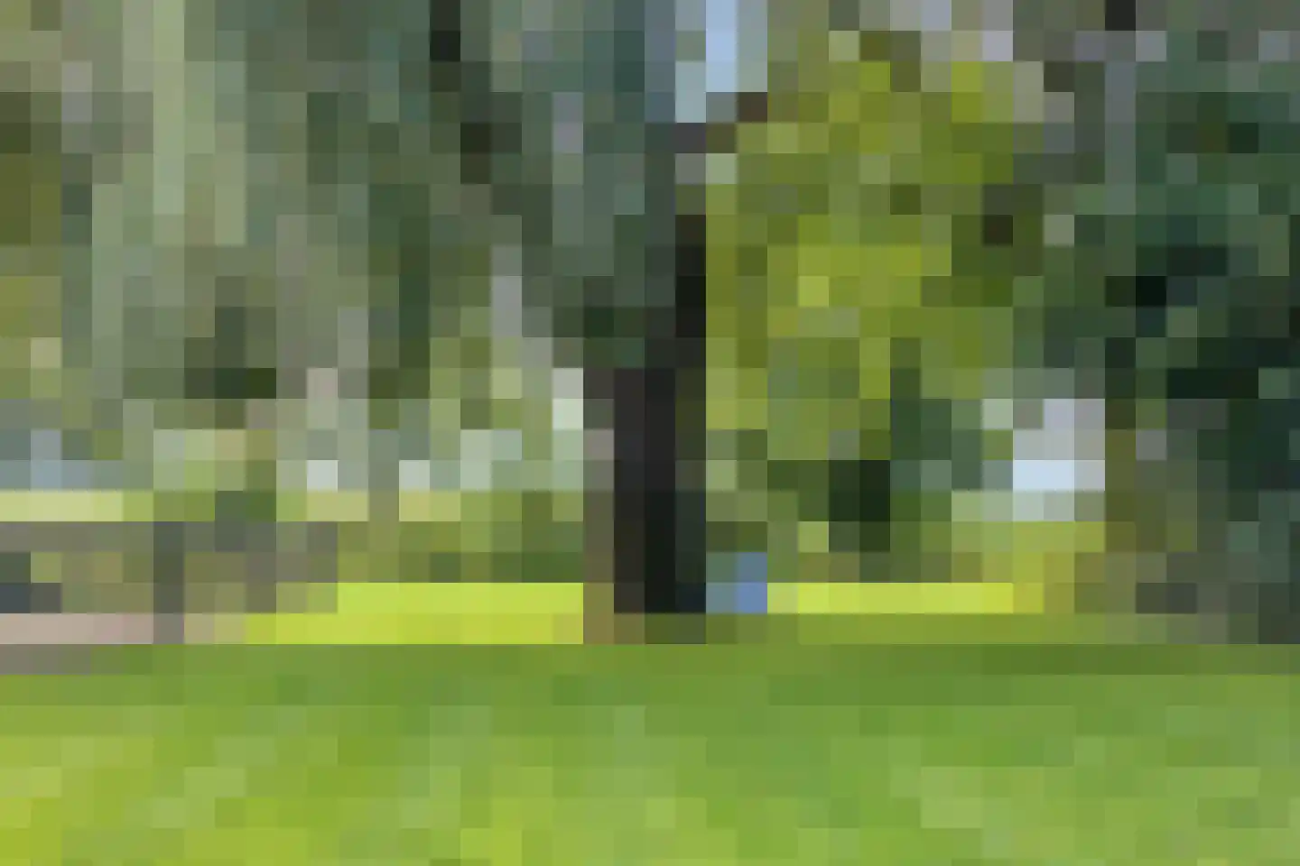 Deldensestraat 12 Diepenheim thumbnail 96