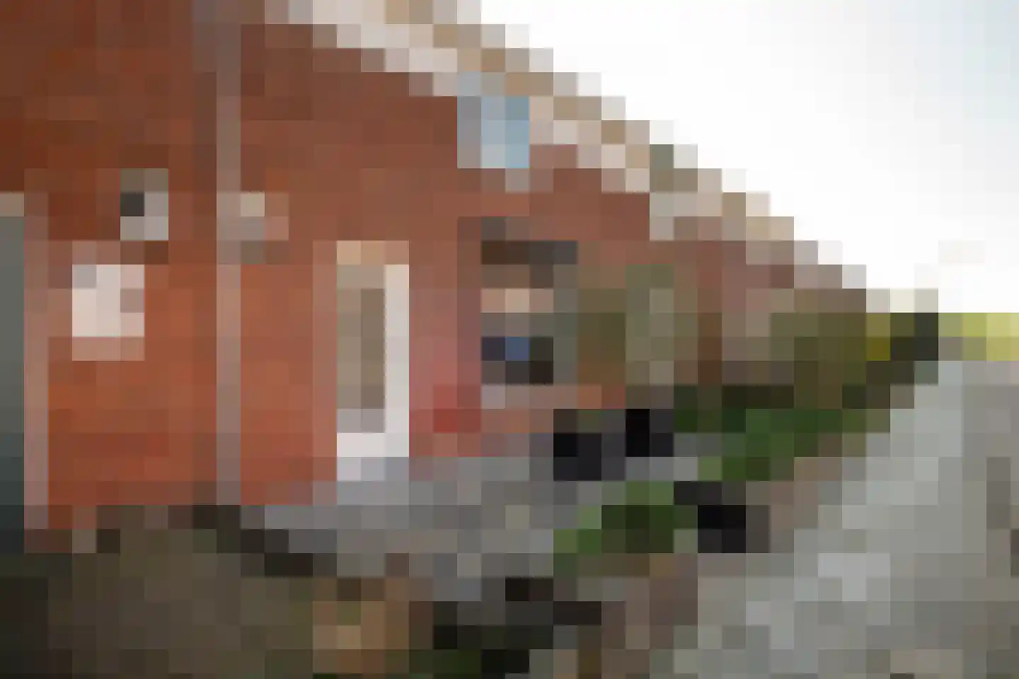 Deldensestraat 13 Sint Philipsland thumbnail 30