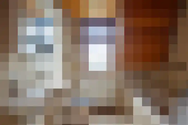 Deldensestraat 15 Goor thumbnail 15