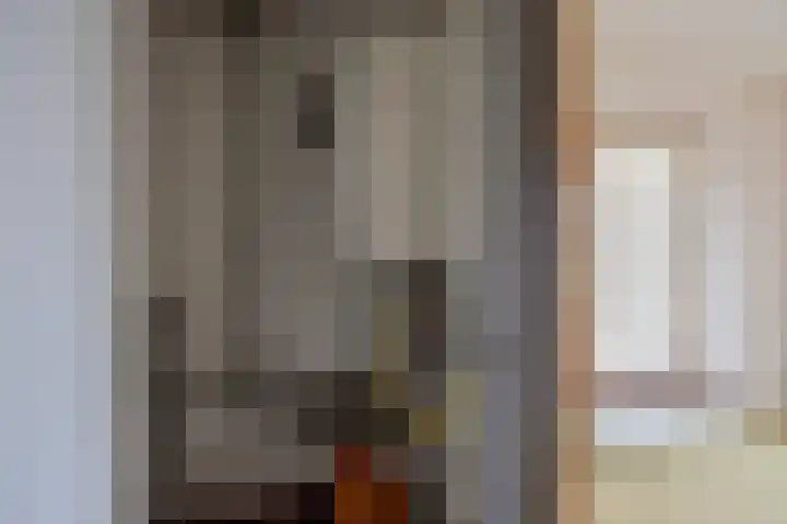 Deldensestraat 15 Goor thumbnail 19