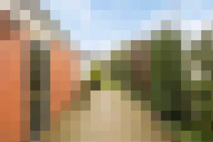 Deldensestraat 15 Goor thumbnail 20