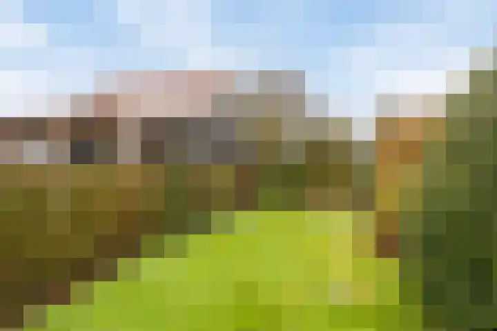 Deldensestraat 15 Goor thumbnail 22