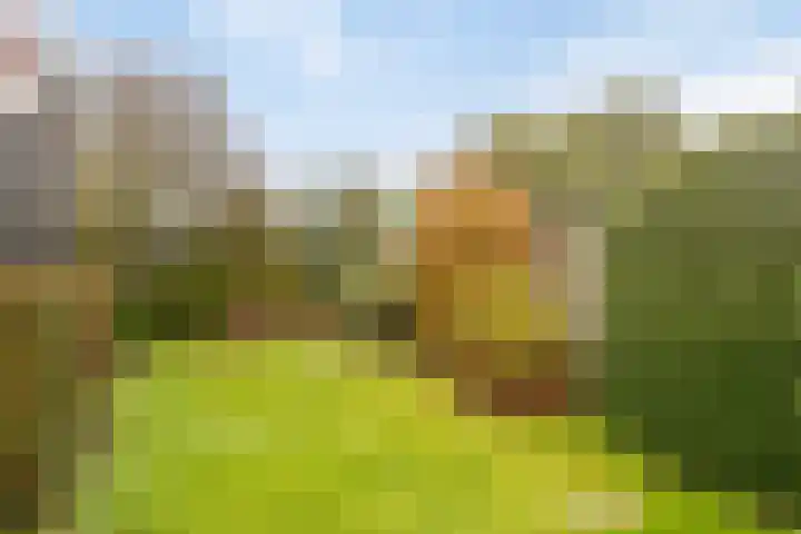 Deldensestraat 15 Goor thumbnail 23