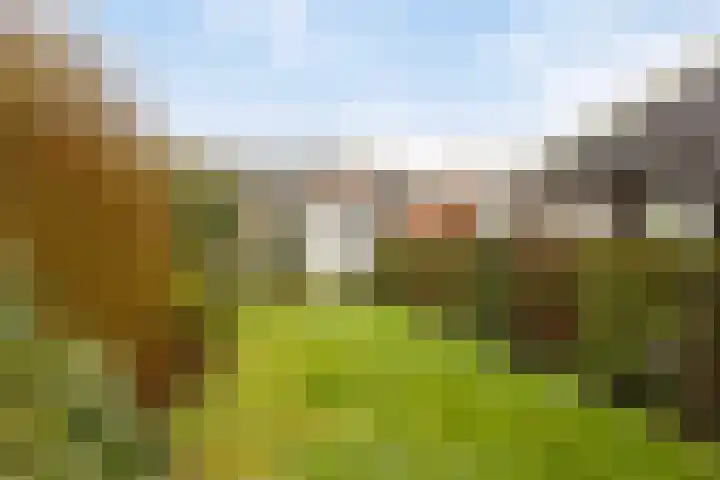 Deldensestraat 15 Goor thumbnail 25