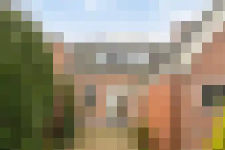 Deldensestraat 15 Goor thumbnail 26