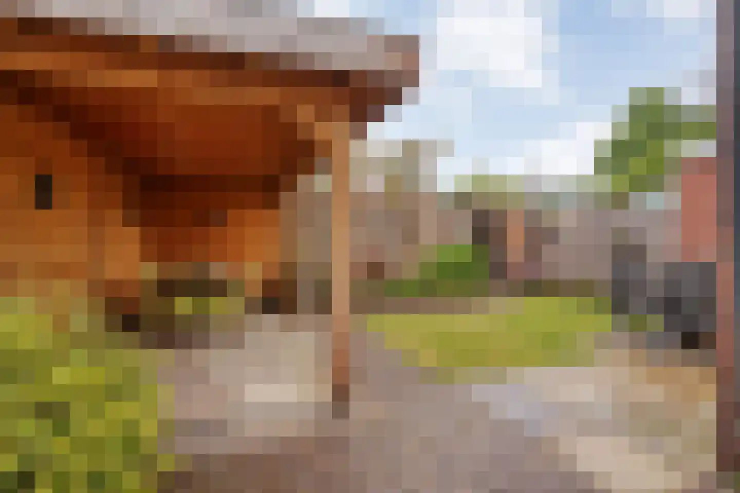 Deldensestraat 161 Almelo thumbnail 22