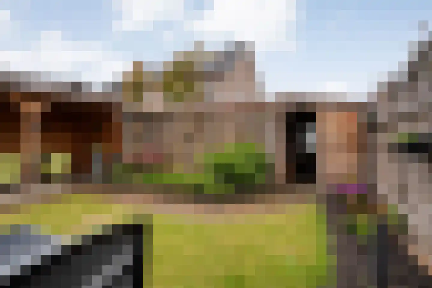 Deldensestraat 161 Almelo thumbnail 27