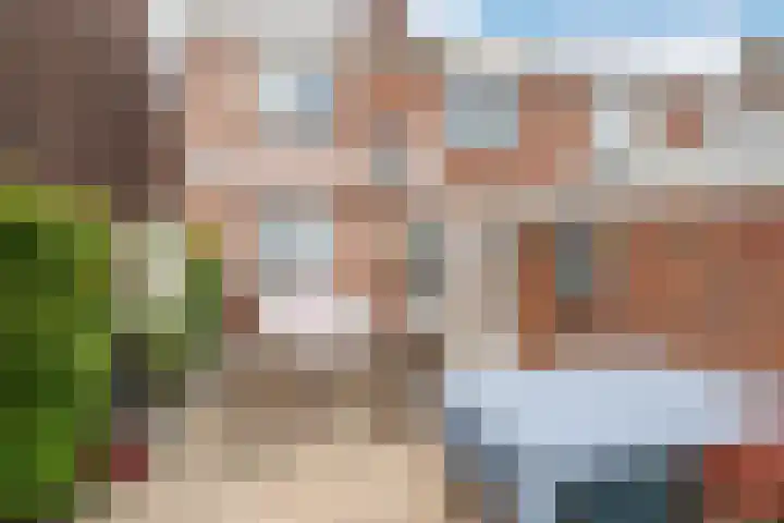 Deldensestraat 17 Sint Philipsland thumbnail 19