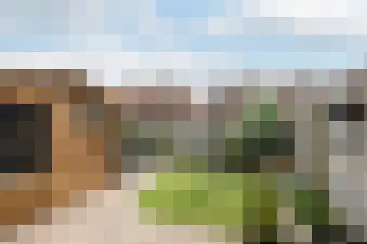 Deldensestraat 17 Sint Philipsland thumbnail 5