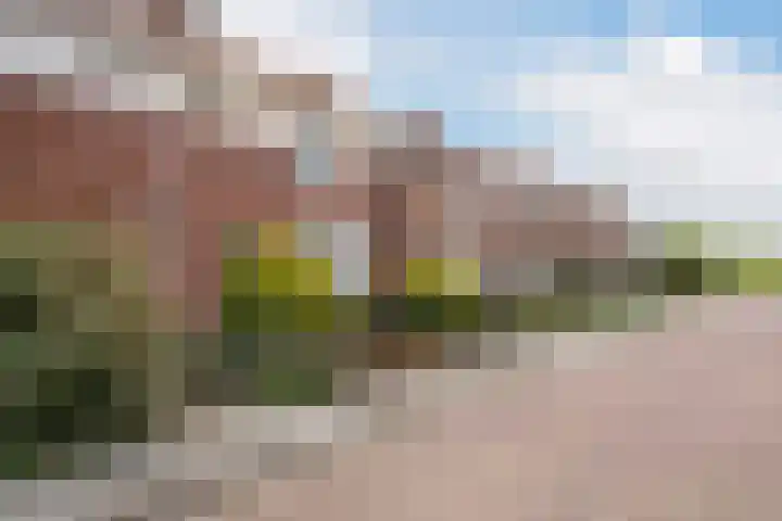 Deldensestraat 17 Sint Philipsland thumbnail 7