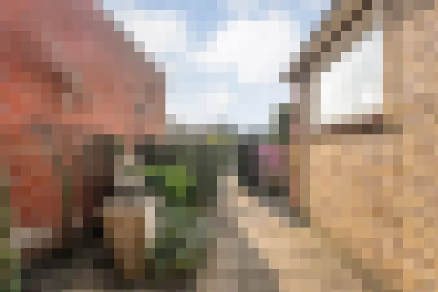 Deldensestraat 19 Almelo thumbnail 22