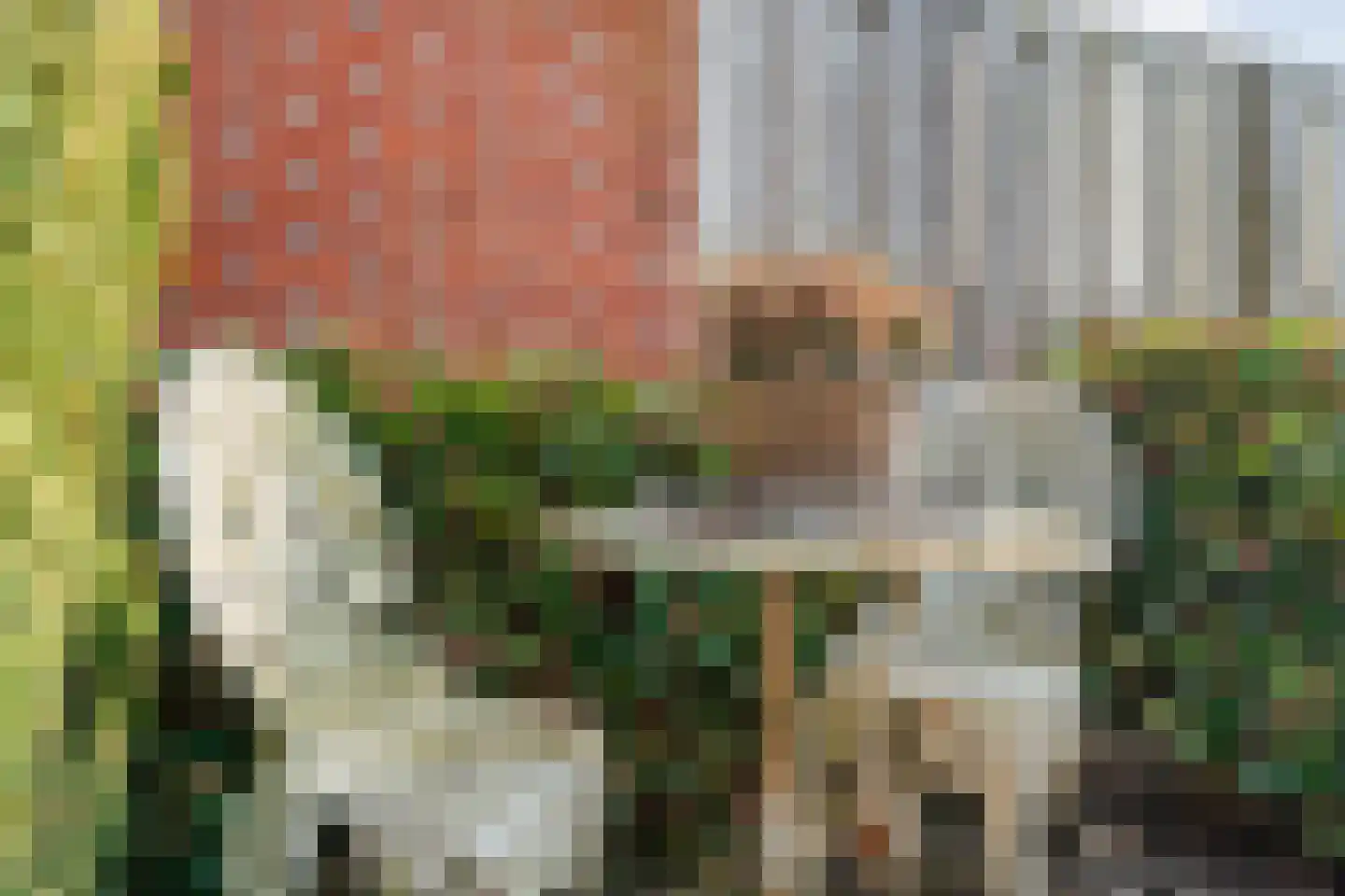 Deldensestraat 19 Almelo thumbnail 24